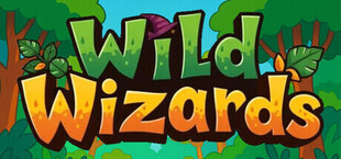 Игра Wild Wizards Wild Wizards