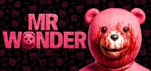 Mr Wonder