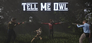Игра Tell Me Owl Tell Me Owl