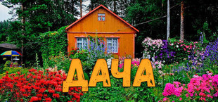 Игра ДАЧА ДАЧА