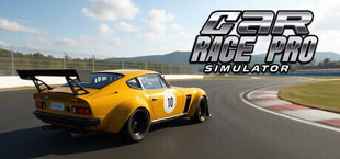 Игра Car Race Pro Simulator Car Race Pro Simulator