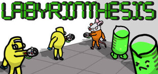 Labyrinthesis