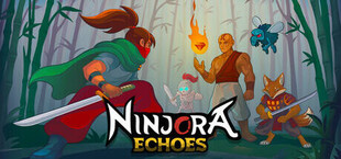 Игра Ninjora Echoes Ninjora Echoes