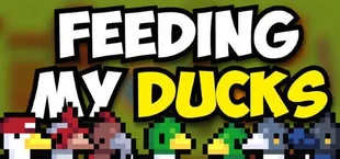 Feeding My Ducks