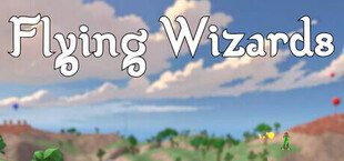 Flying Wizards