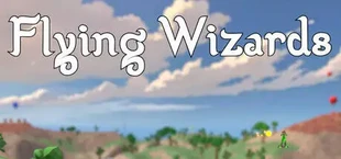 Flying Wizards