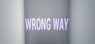 WRONG WAY