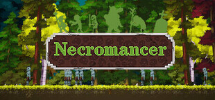 死灵法师（Necromancer）