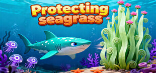 Protecting seagrass 保护海草