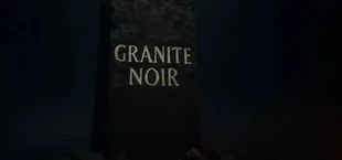 Granite Noir: The Social Experiment