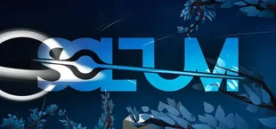 SOLUM