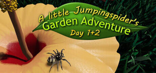 A little Jumpingspider's Garden Adventure (Day 1+2)