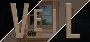 Veil: Project Conductor