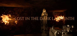 LOST IN THE DARK LABYRINTH