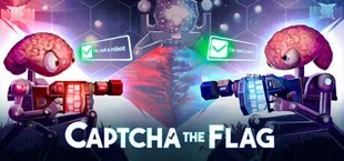 Captcha The Flag