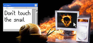 Don't Touch the Snail