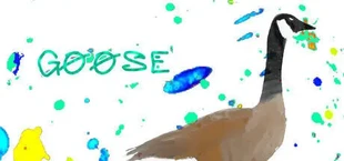 Goose