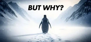 The Ice is Watching