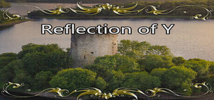 Reflection of Y