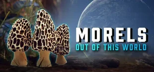Morels: Out of this World