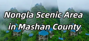 Nongla Scenic Area in Mashan County
