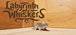 Labyrinth of Whiskers