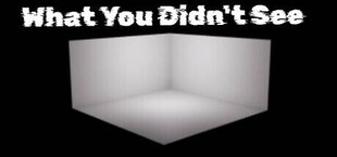 What You Didn't See