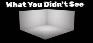 What You Didn't See
