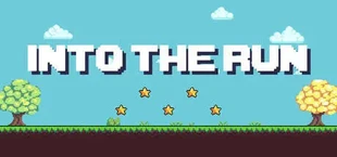 INTO THE RUN