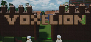 Voxelion
