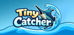 Tiny Catcher