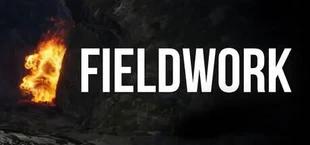 Fieldwork