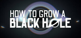 How To Grow a Black Hole