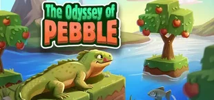 The Odyssey Of Pebble