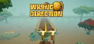 Wrong Direction