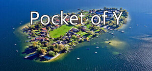 Pocket of Y