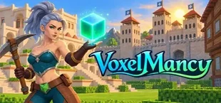 VoxelMancy