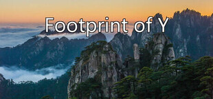 Footprint of Y