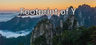 Footprint of Y