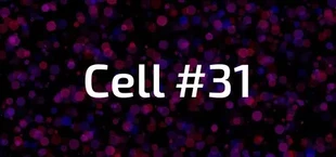 Cell #31