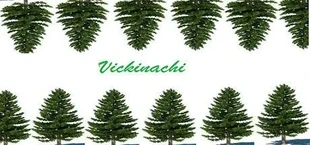 Vickinachi