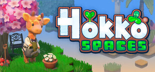Hokko Spaces