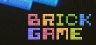 Brick Game