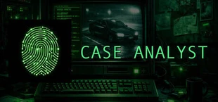 Case Analyst