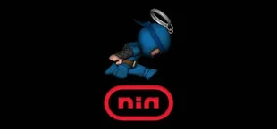 Nin