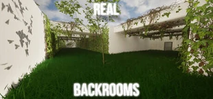 Real backrooms