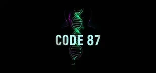Code 87
