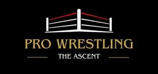 Pro Wrestling: The Ascent