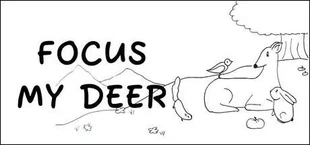 Focus My Deer