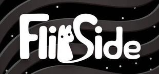Flipside